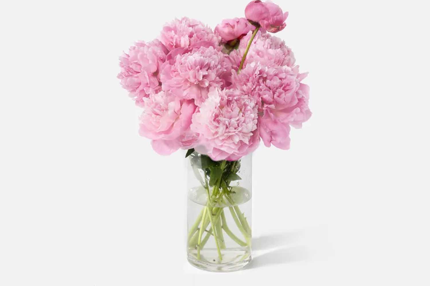 UrbanStems The Peony