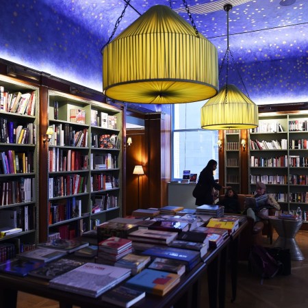 Books on shelves at Albertine