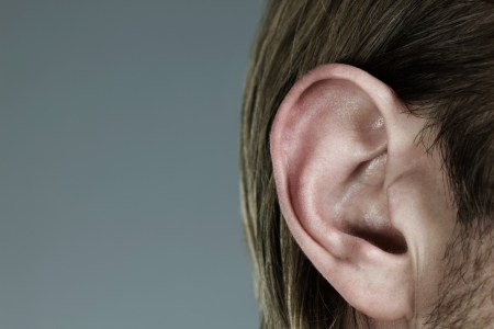 Ear