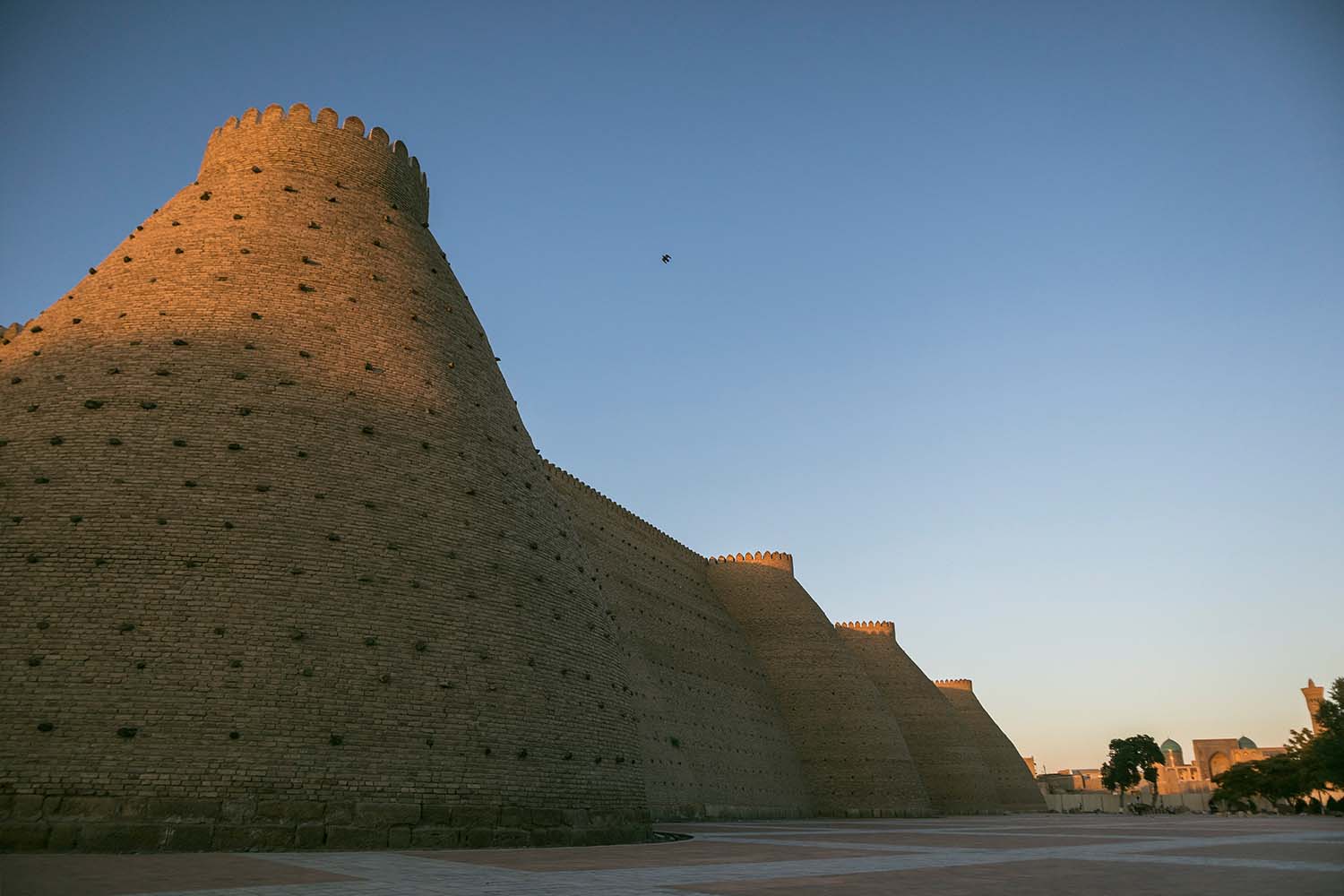 The Ark Fortress