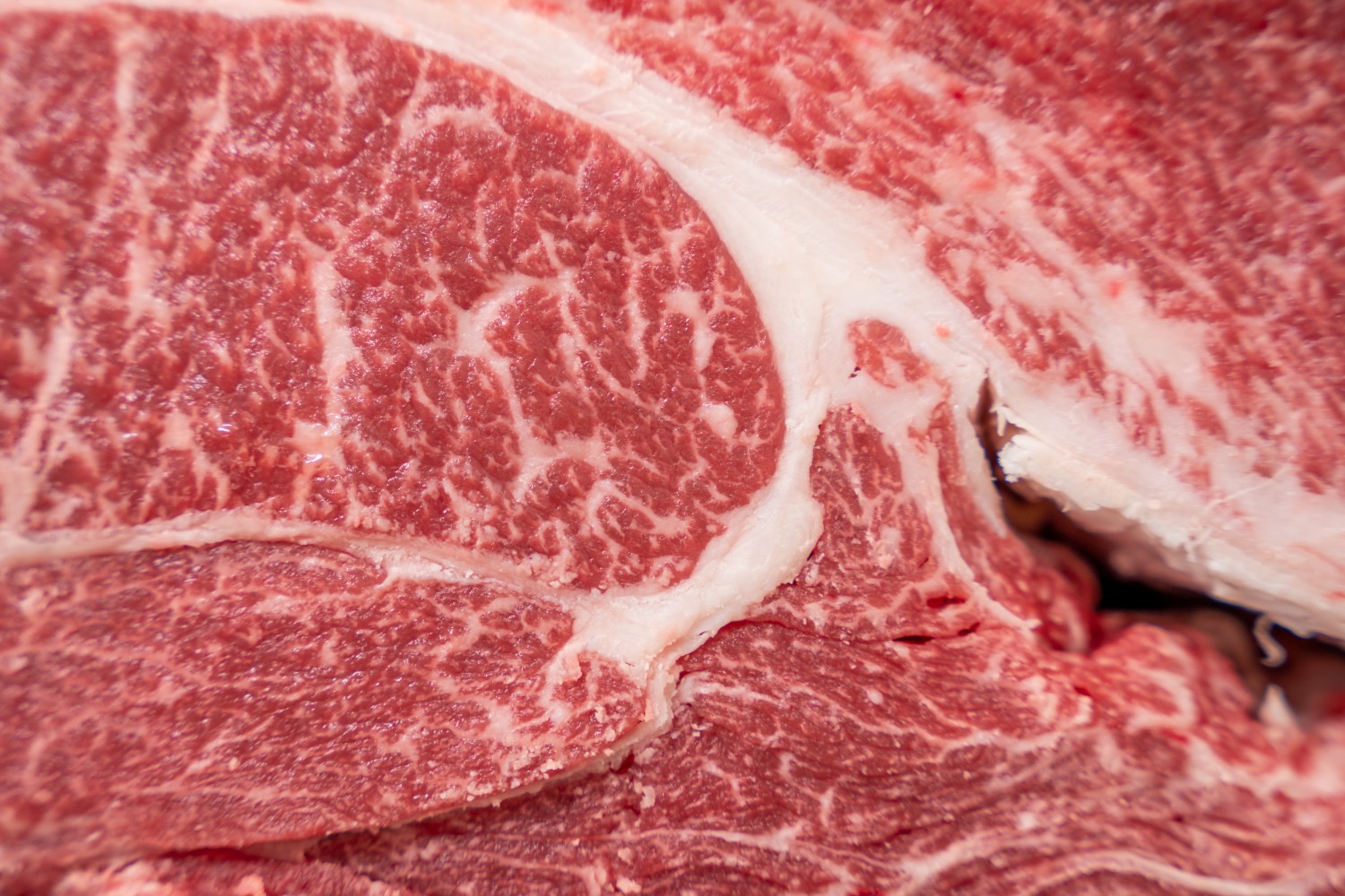 Wagyu beef
