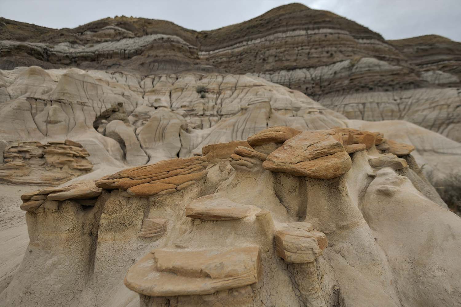 Alberta badlands