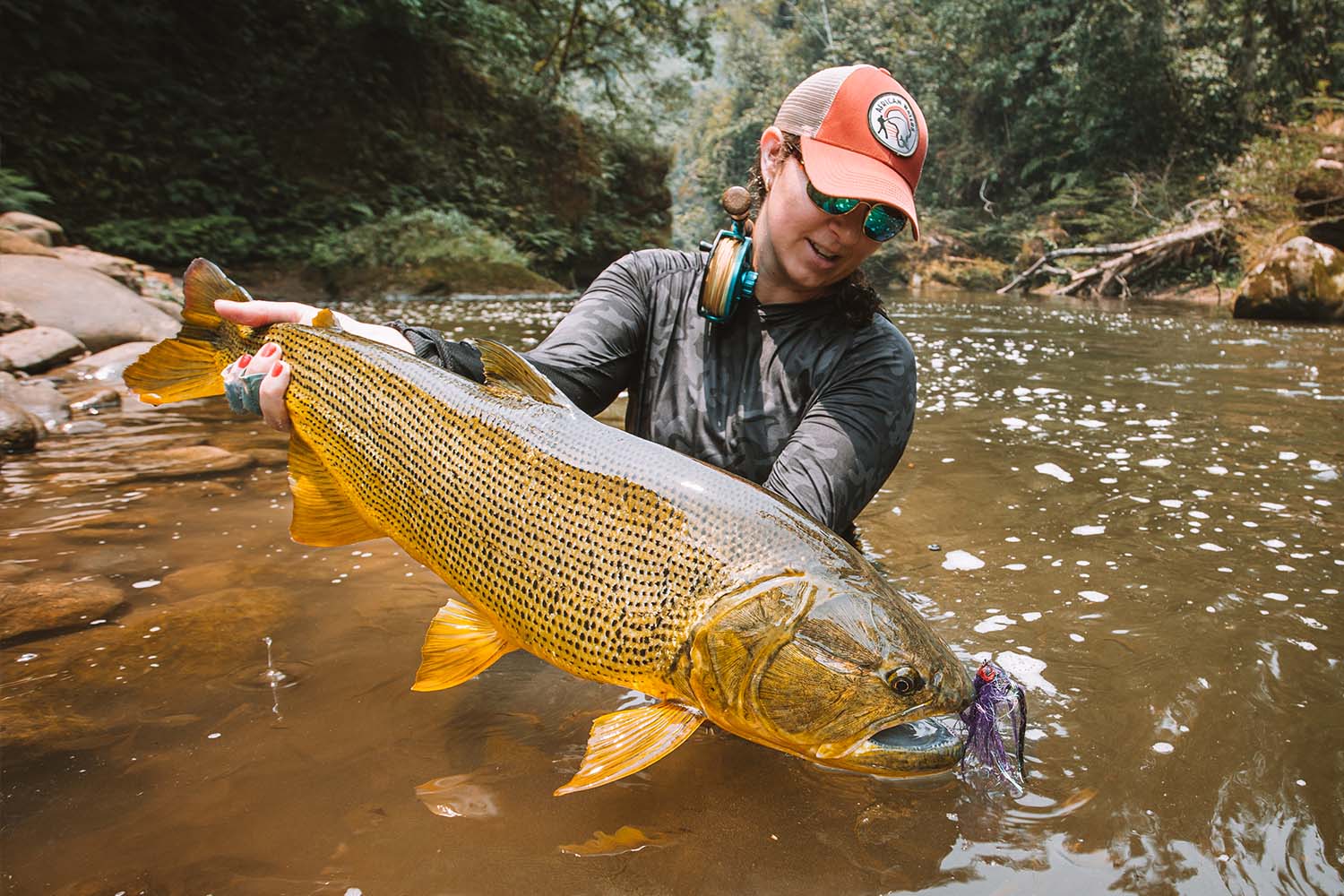 The trophy fish of the jungle