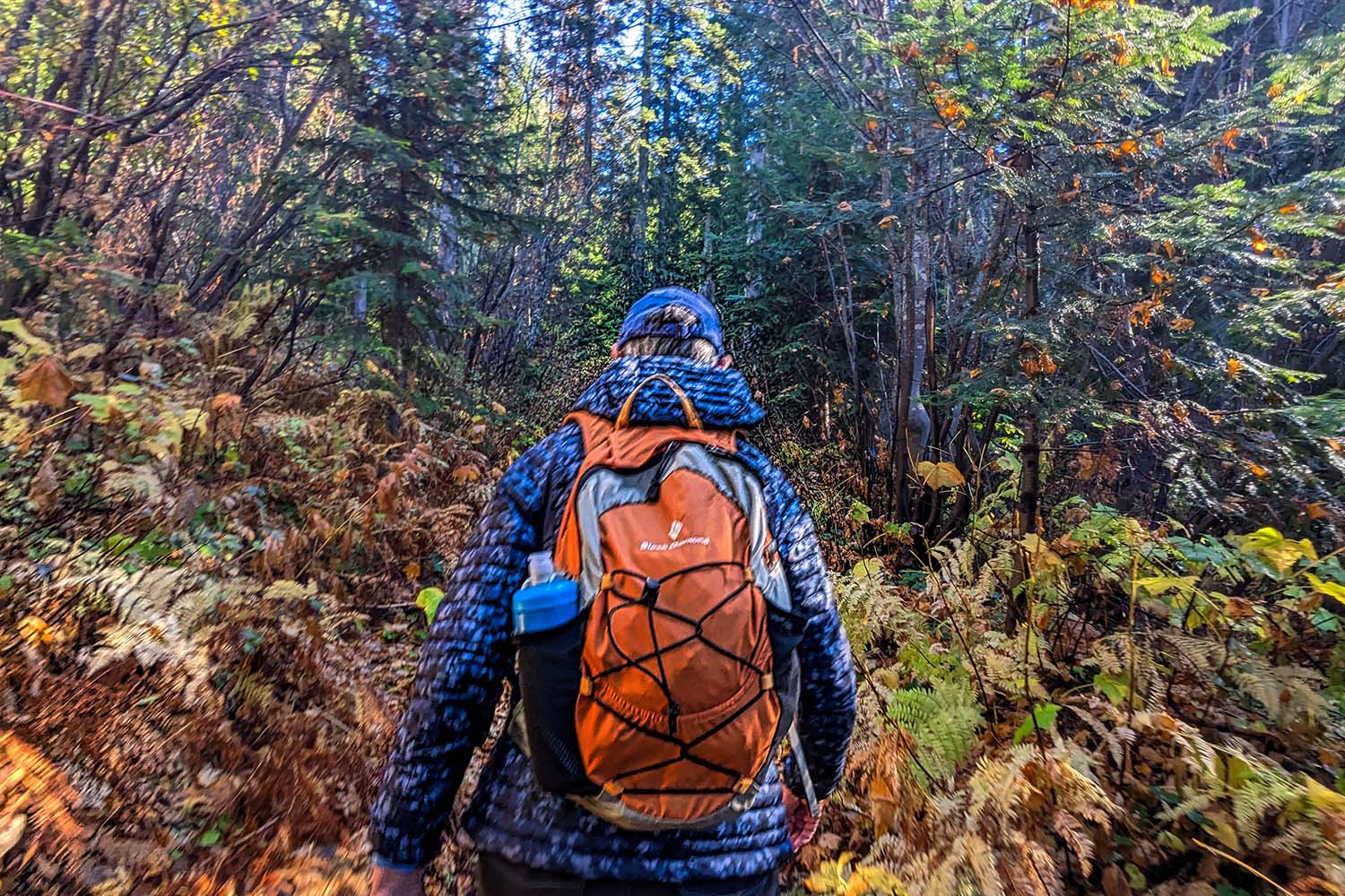 Rika Ream hiking Mount Kit Carson Trail