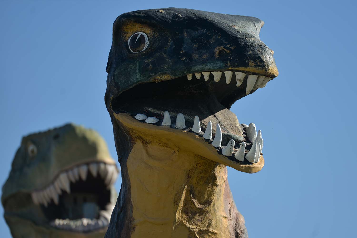 The 'World's Largest Dinosaur'