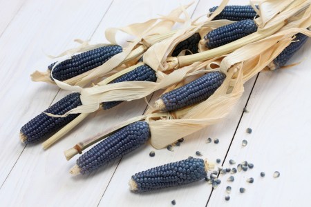 Blue Corn