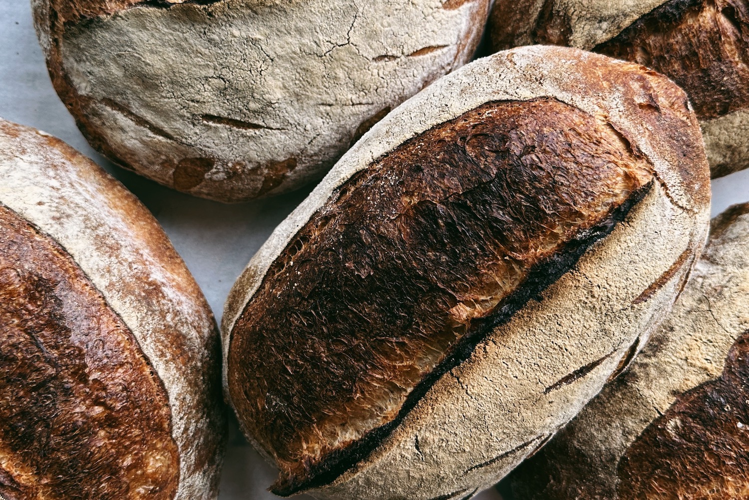loaves of bread from librae bakery
