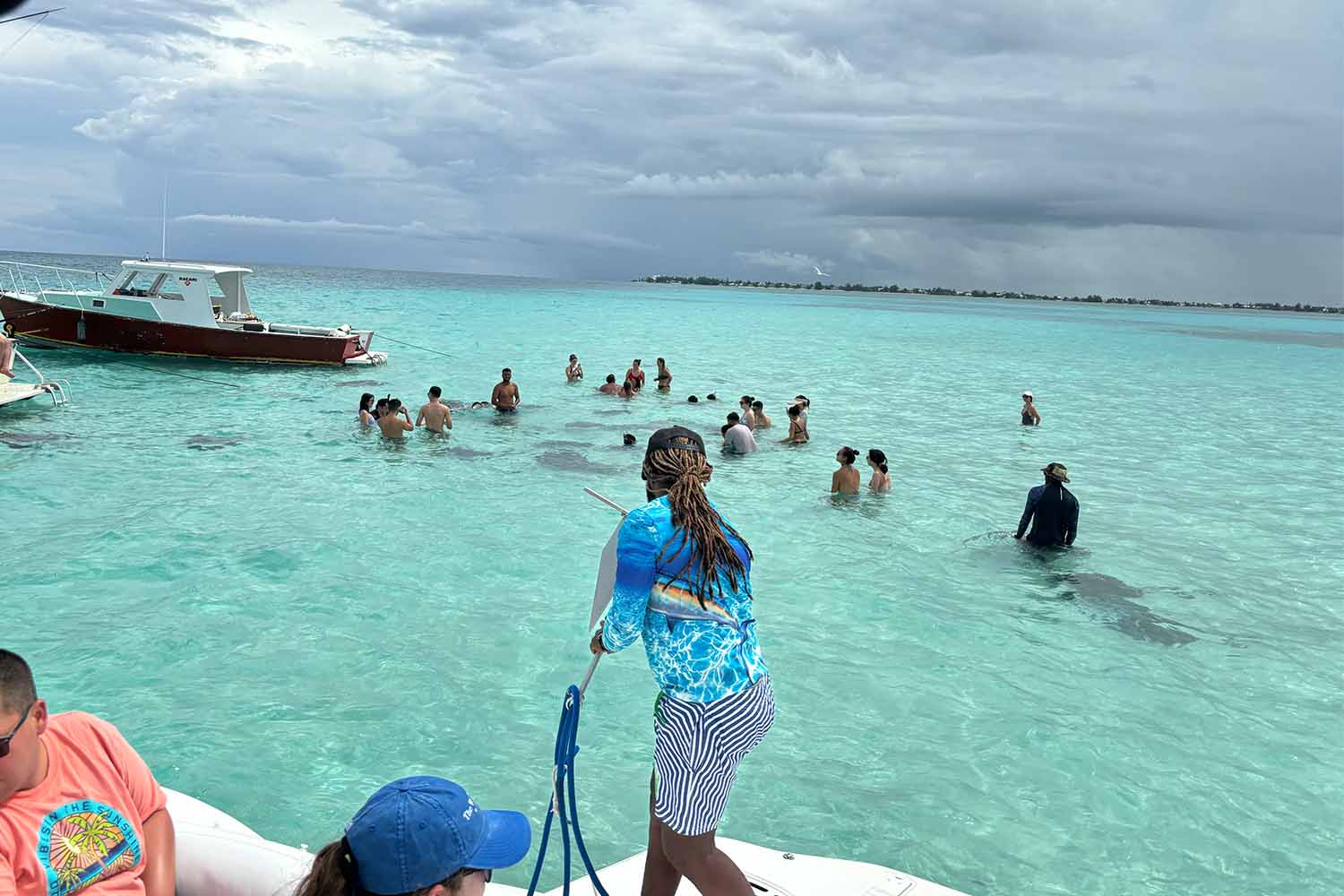 Starfish and stingrays off the coast of Grand Cayman