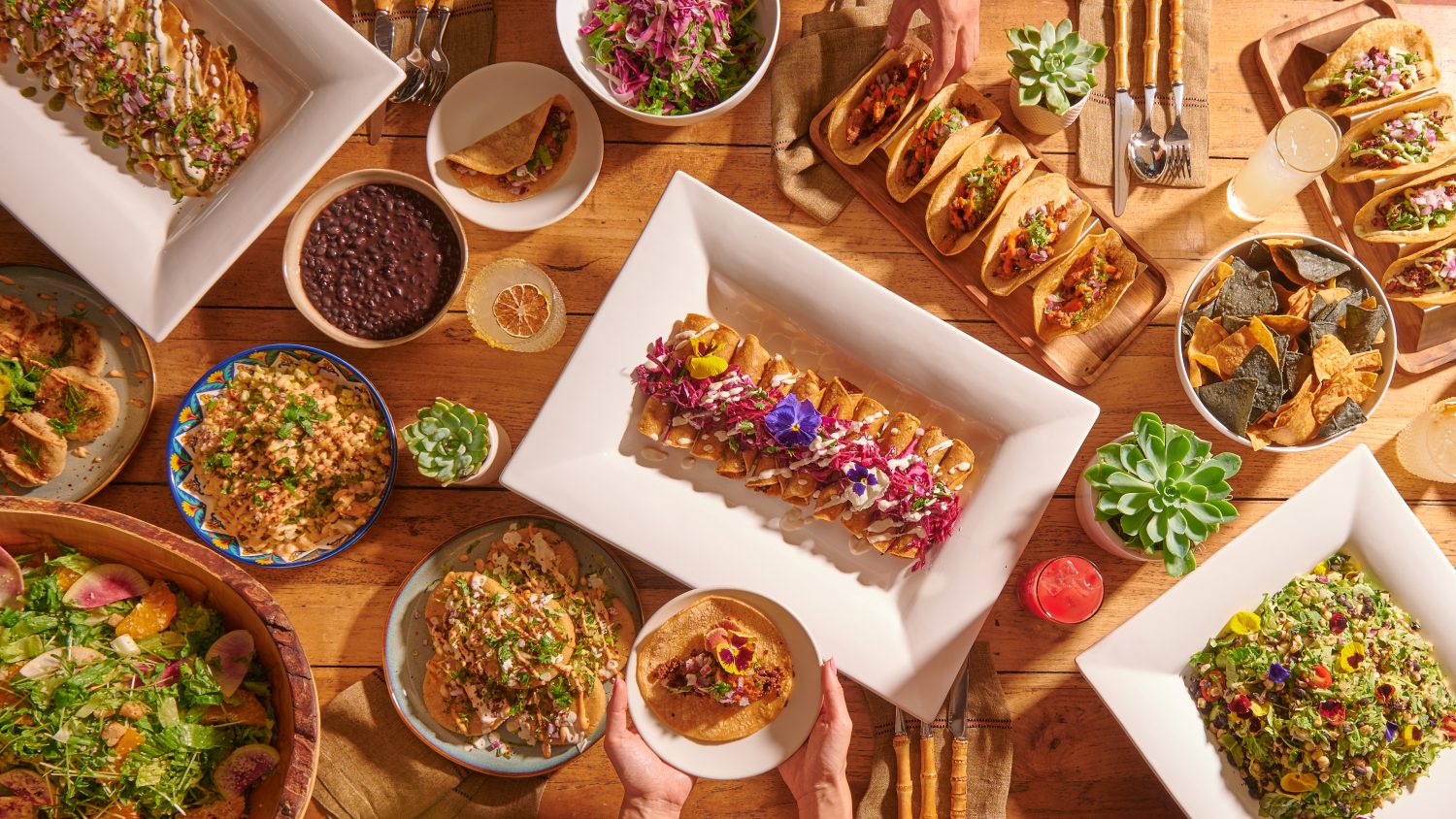plates of Mexican food, tacos, corn, beans, flautas, chips, lemonade