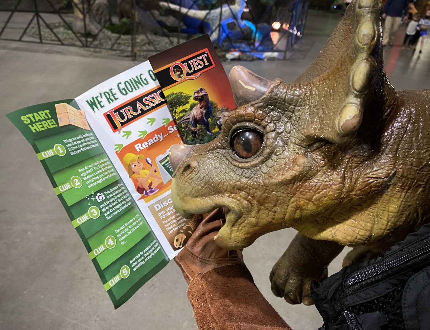 small dinosaur looking at pamphlet