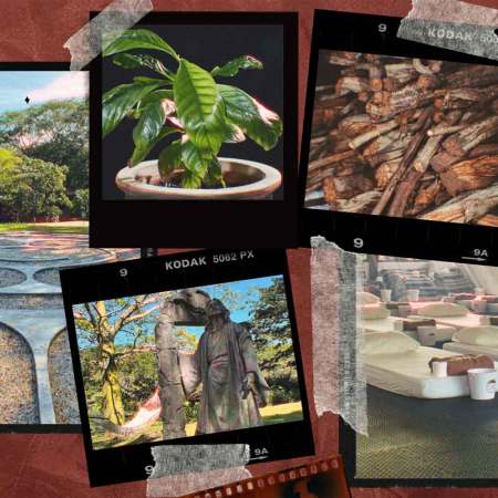 Photos of the Rythmia retreat in Costa Rica that's a leader in ayahuasca tourism, as well as images of the plants involved in making the psychoactive brew.