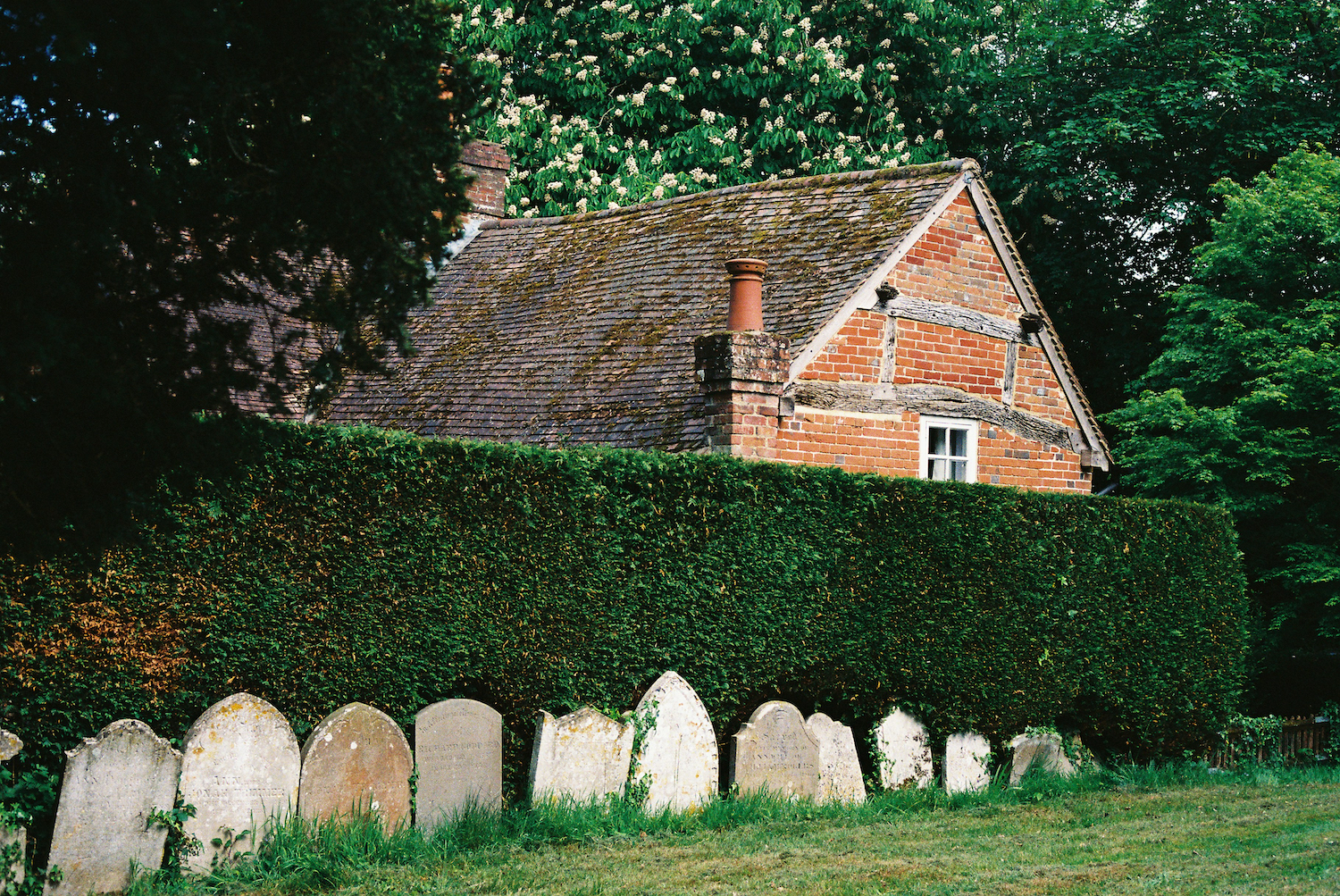 Old tombstones next to a hedge.