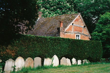 Old tombstones next to a hedge.