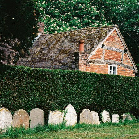 Old tombstones next to a hedge.