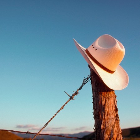 Cowboy hat
