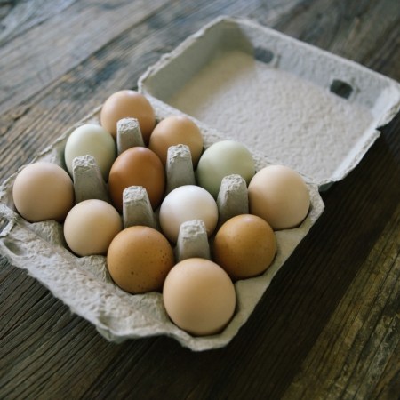 Eggs