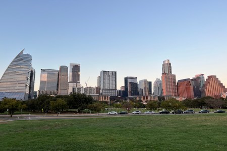 buildings/skyline, park grass