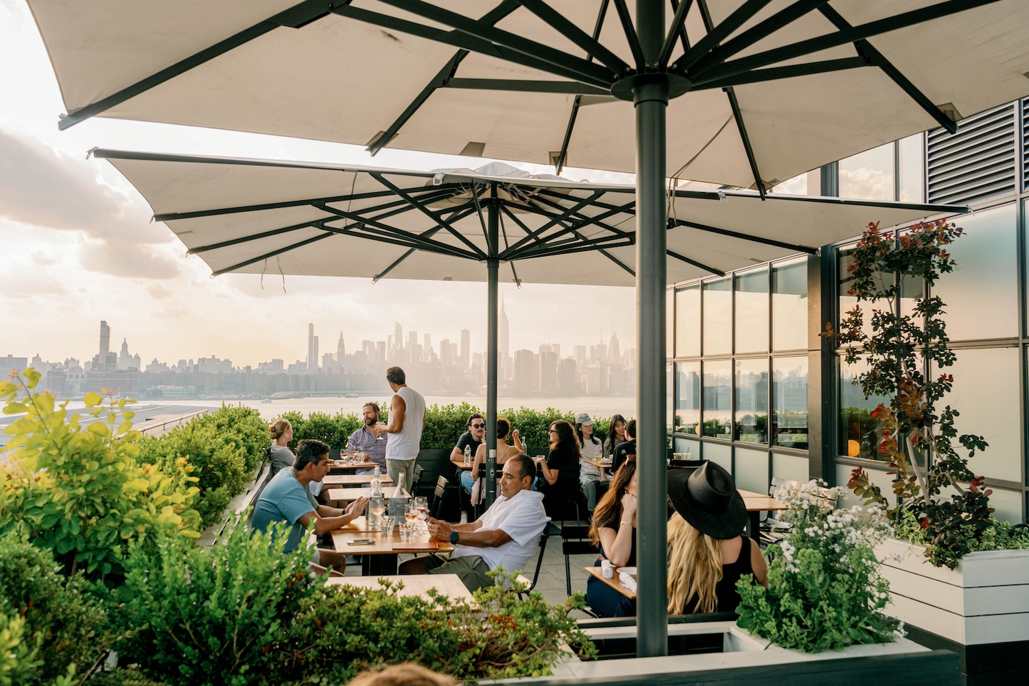 people eating, umbrellas, skyline, plants