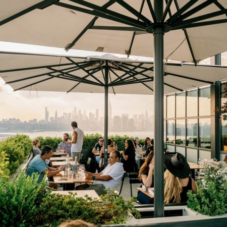 people eating, umbrellas, skyline, plants