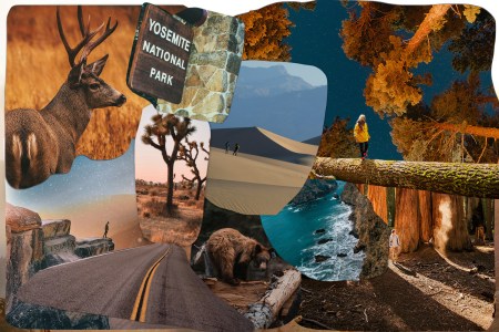 Regardless of what kind of traveler you are, California has a park for you.