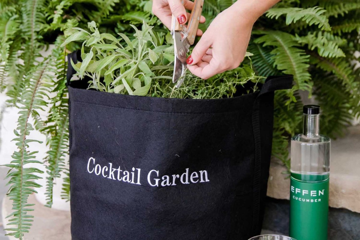 Gardenuity Cocktail Garden Kit