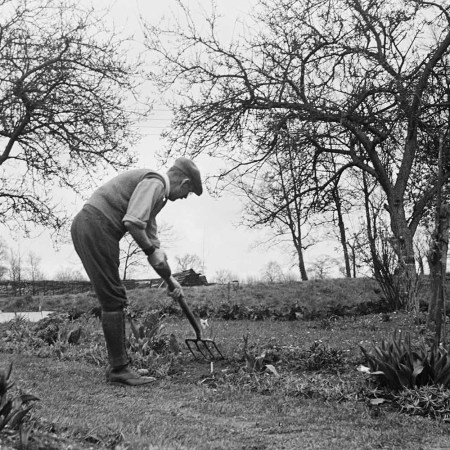 A man gardening in Aldworth, Berkshire, March 1945.