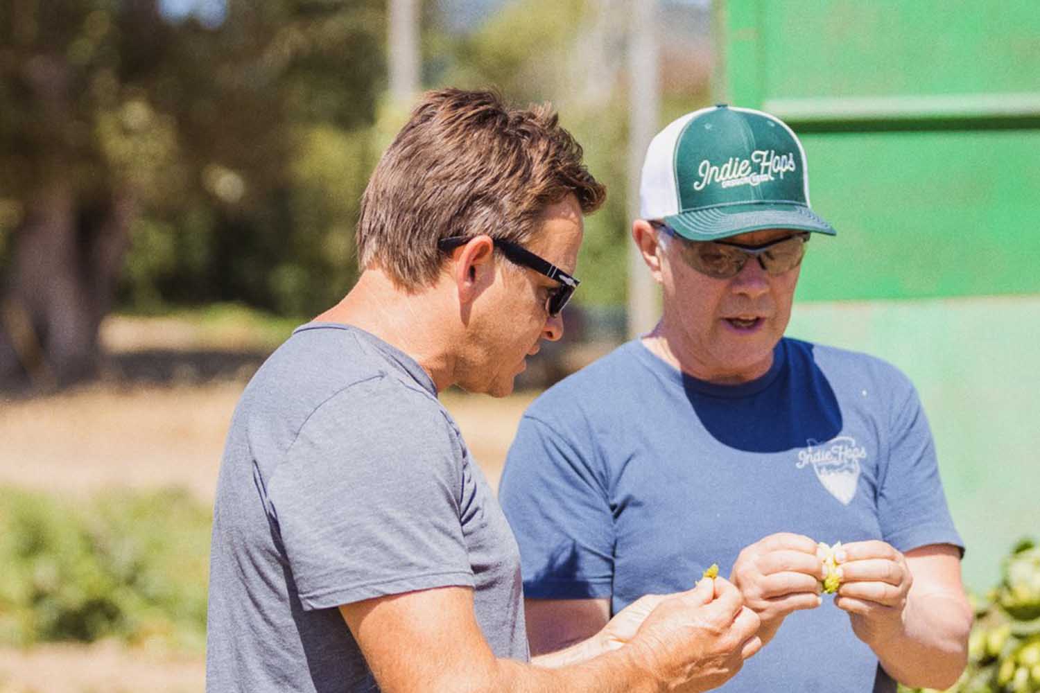 Two members of Indie Hops, a hops research and development company in Oregon