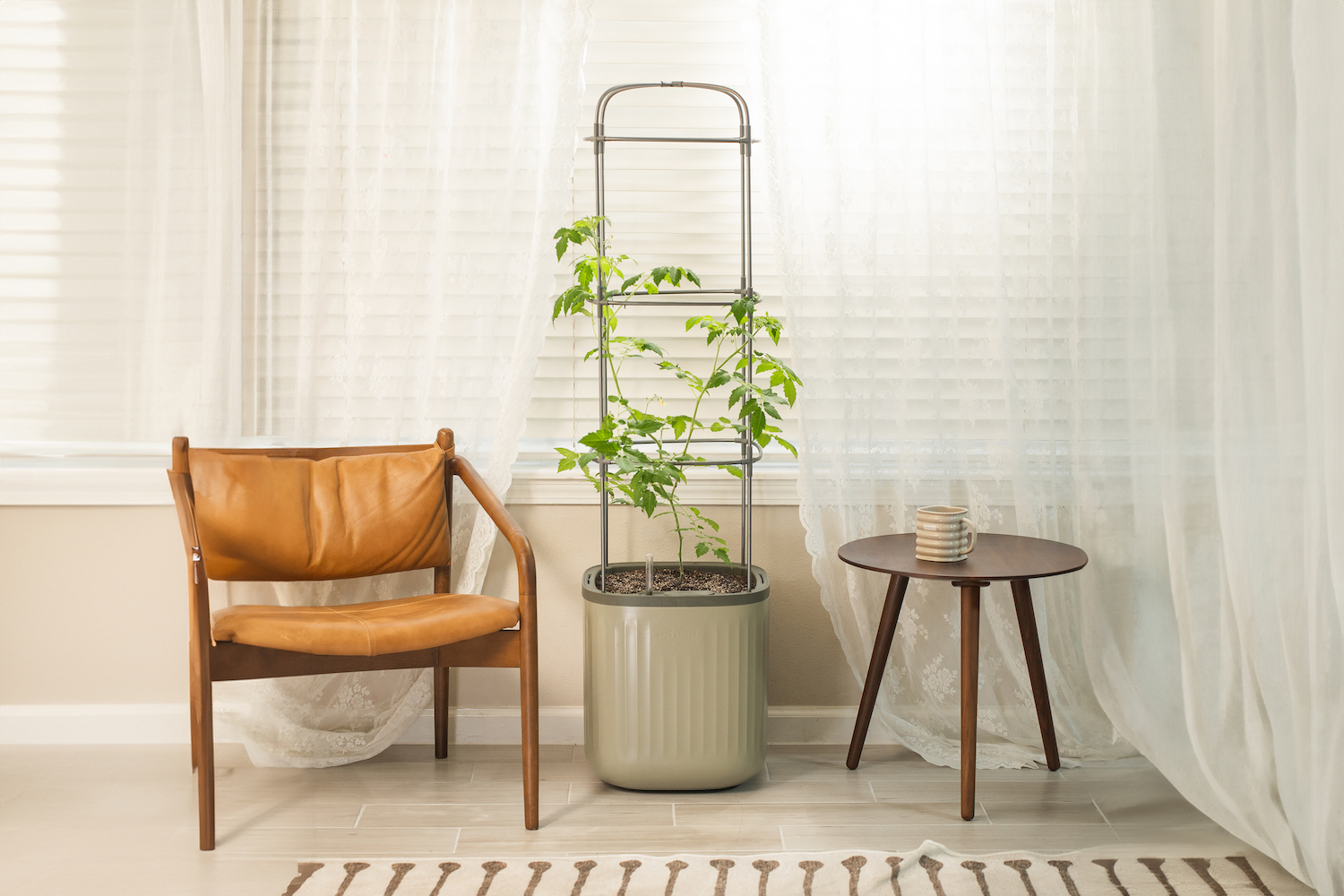 vego Self-Watering Rolling Tomato Planter Pot With Trellis