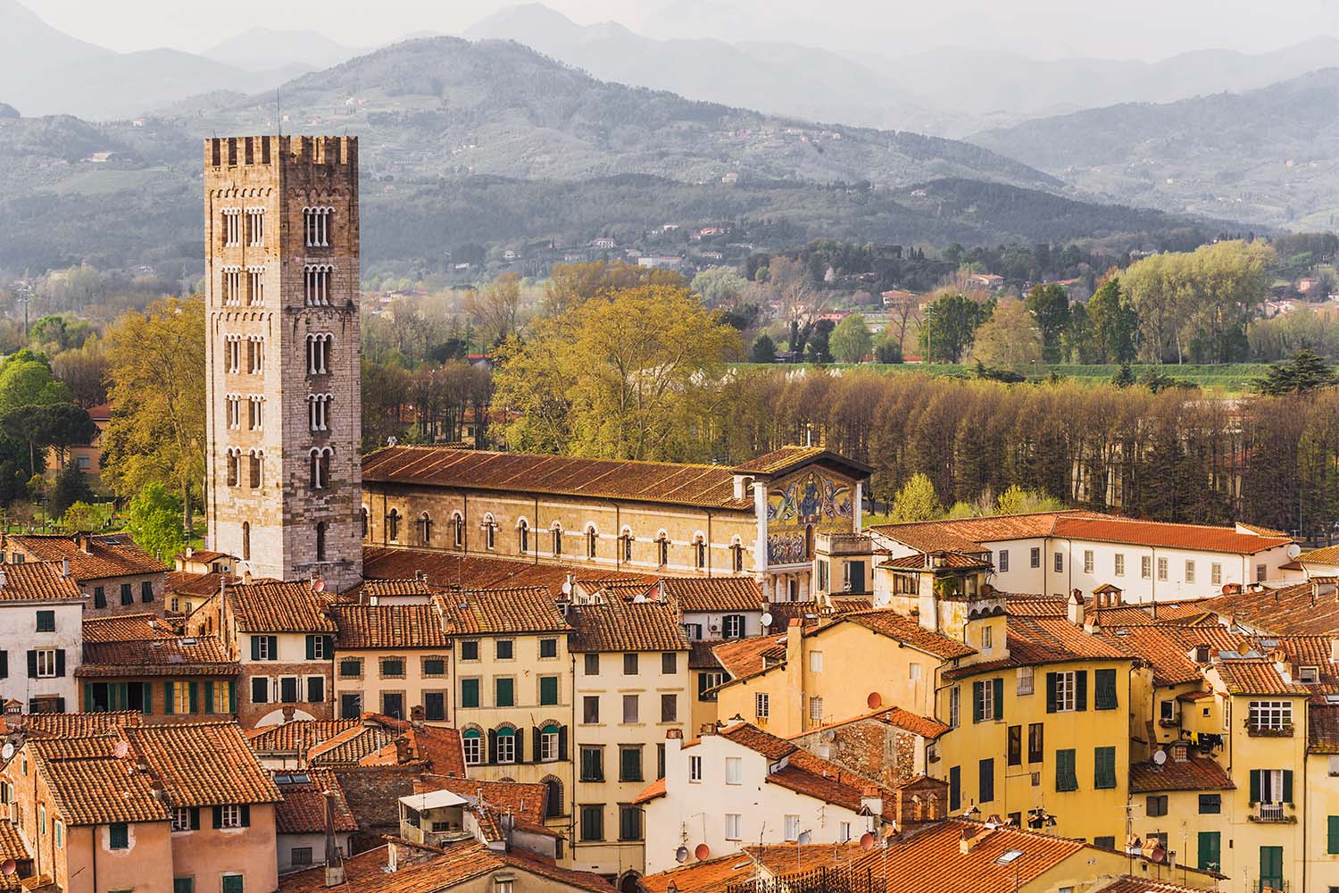 The bell-tower of San Frediano church from the top of Torre Guinigi
