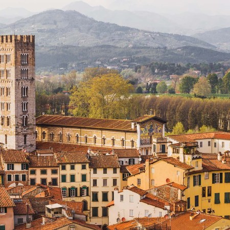 The bell-tower of San Frediano church from the top of Torre Guinigi