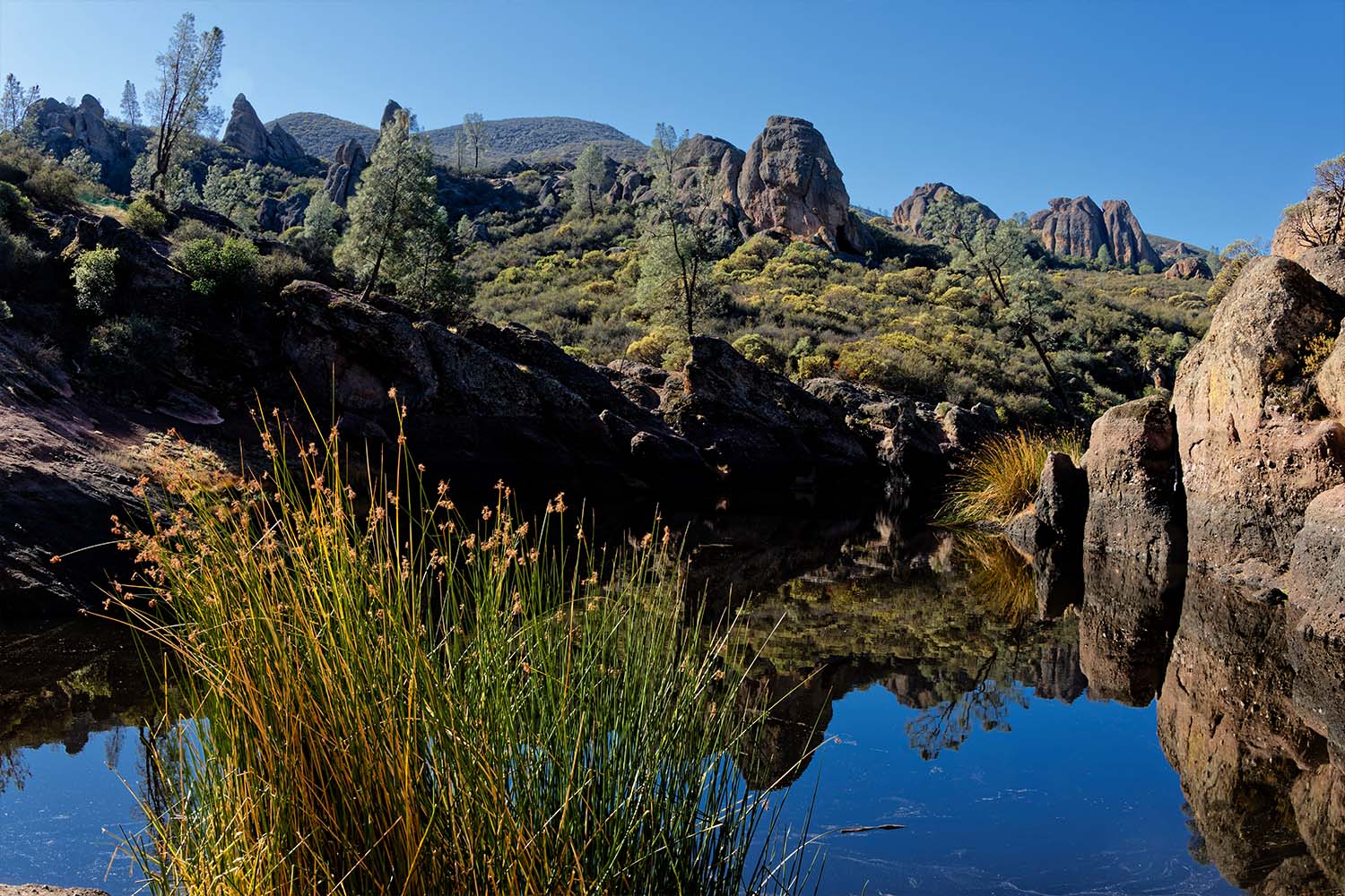 Bear Gulch Reservoir in Pinnacles National Park
