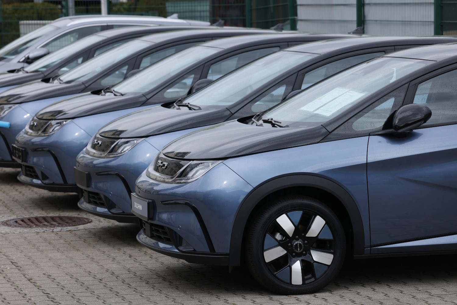 BYD Cars