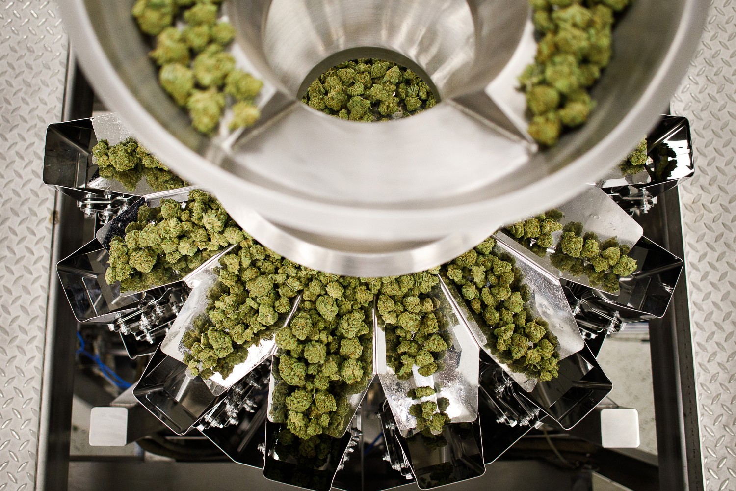 Cannabis flowers