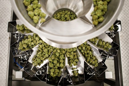 Legal Cannabis Hasn’t Ended the Illegal Sale of Weed in California