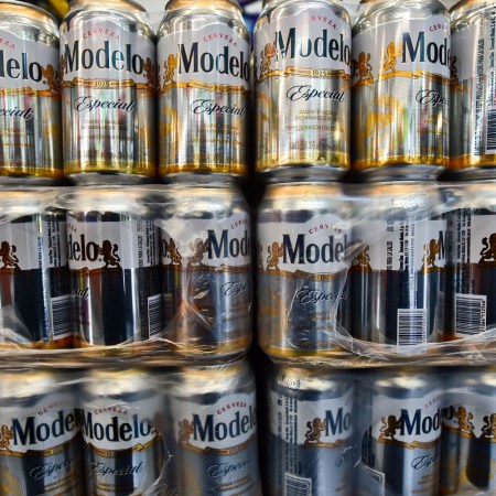 Modelo cans