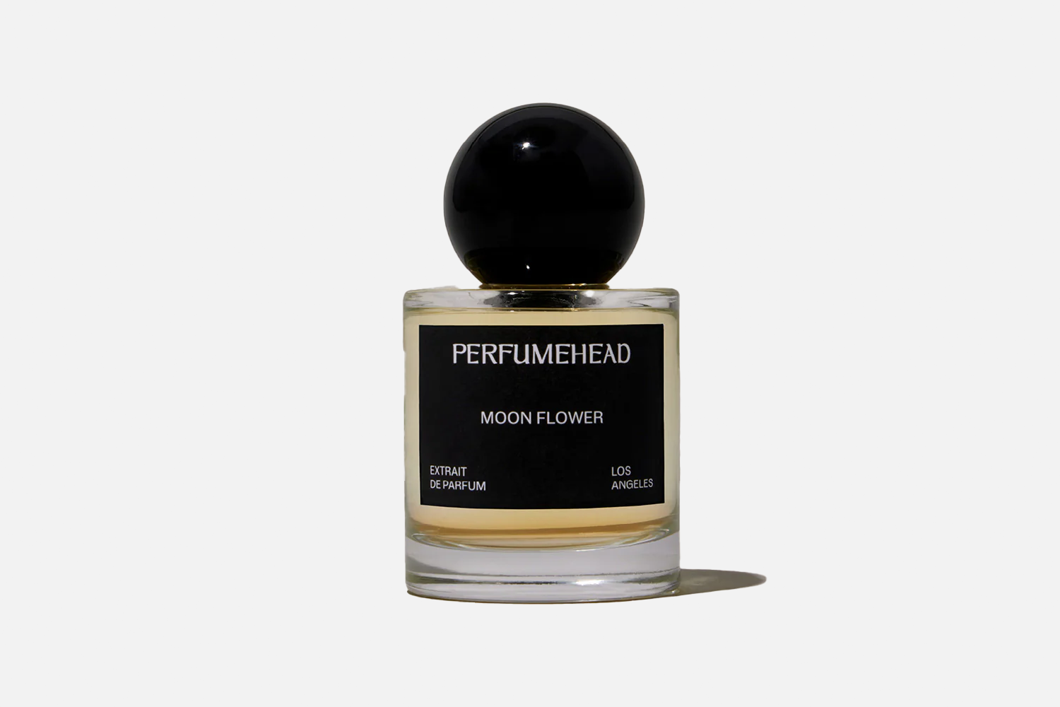 Perfumehead Moon Flower