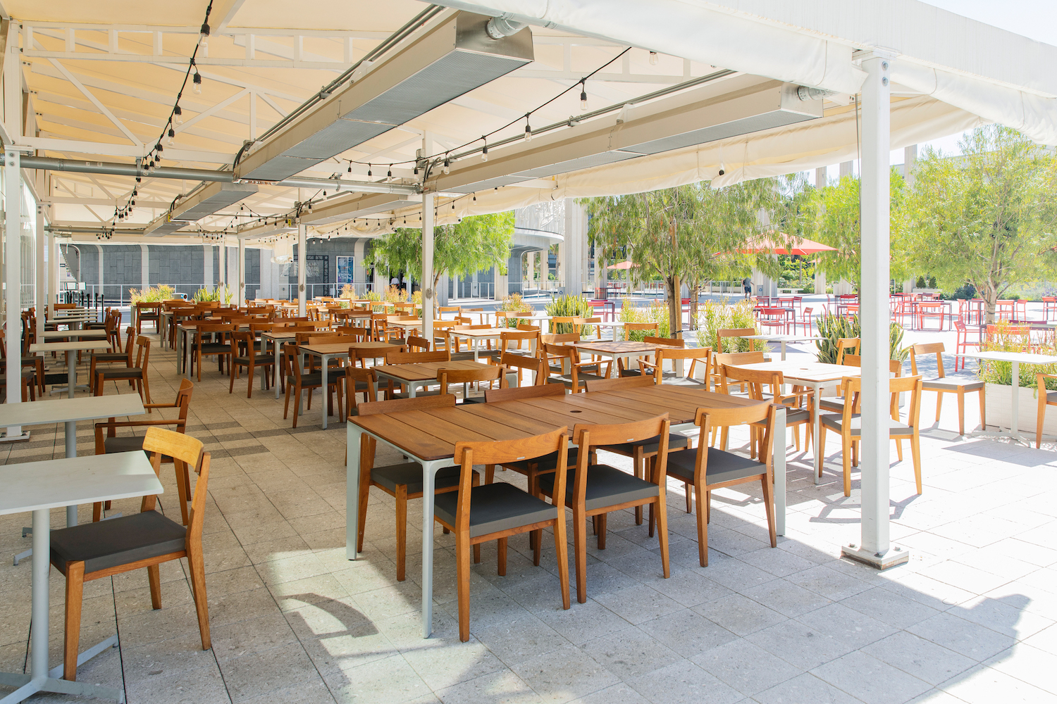 Abernethy's outdoor seating under a canopy lined with string lights.