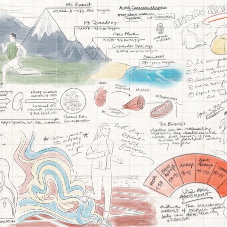 An original illustration detailing how to simulate altitude training from sea level. We spoke with professor Grégoire Millet to get his expert advice on hypoxic training.