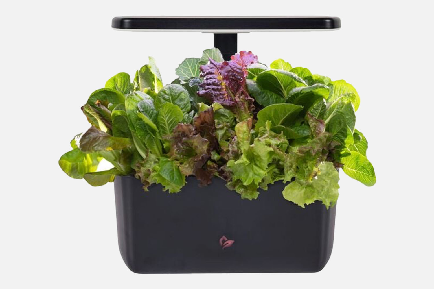 AeroGarden Harvest 2.0