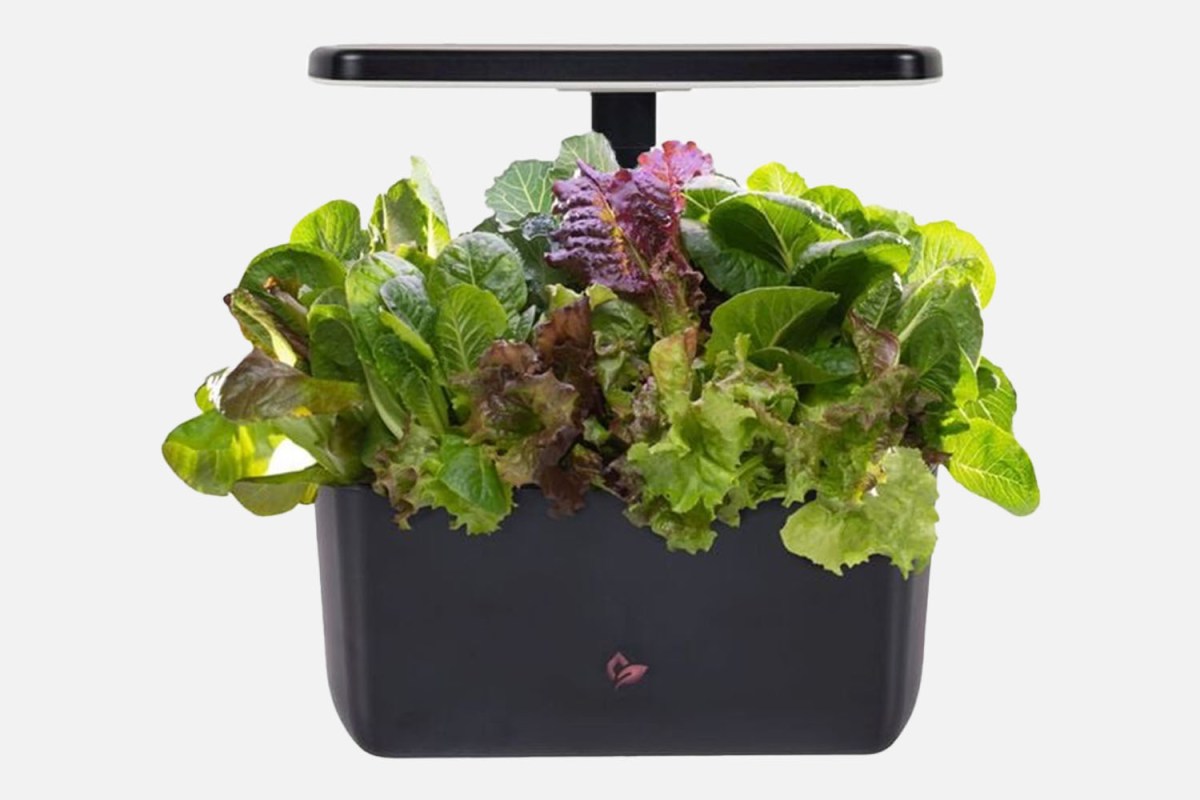 AeroGarden Harvest 2.0
