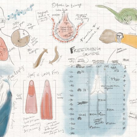 An original illustration detailing how to hold your breath for longer.