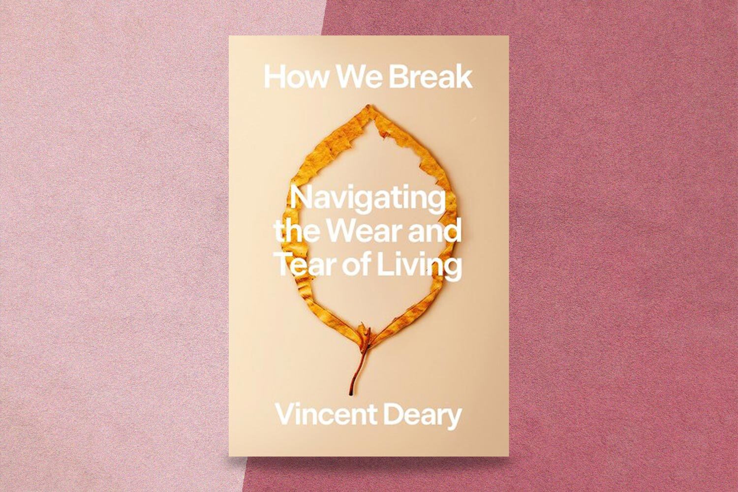 Vincent Deary, How We Break: Navigating the Wear and Tear of Living
