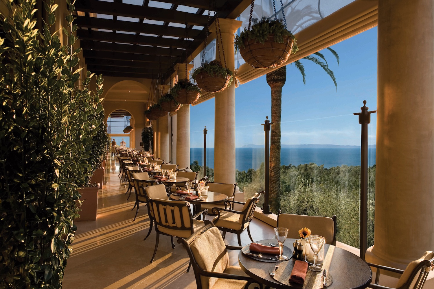 tables, chairs, plants hanging from ceiling, columns,