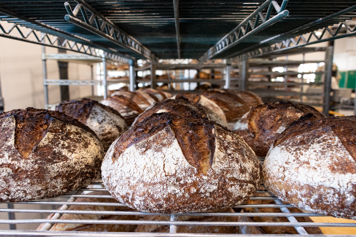 loaves of bread on a rack