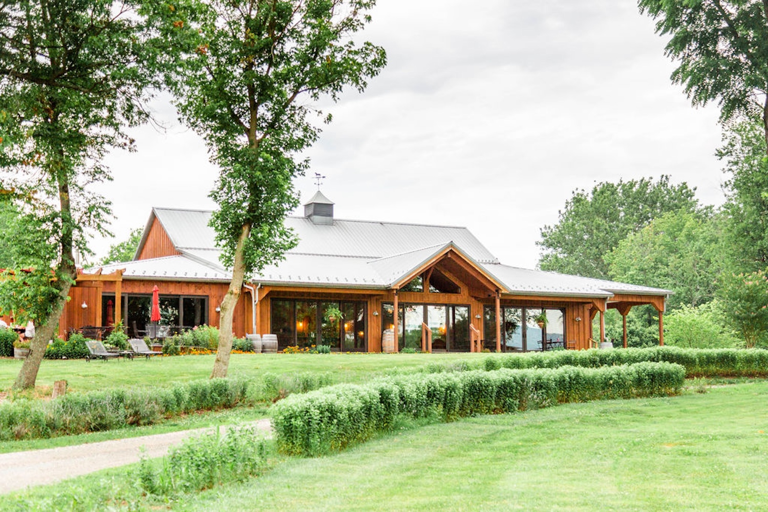 vineyard, trees, grass, brown house