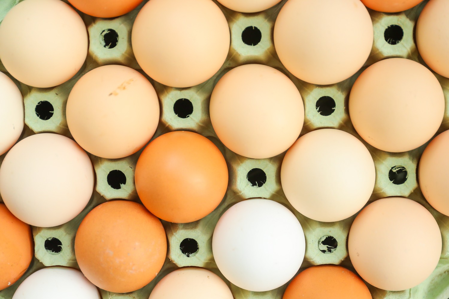 Eggs