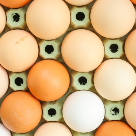 Eggs