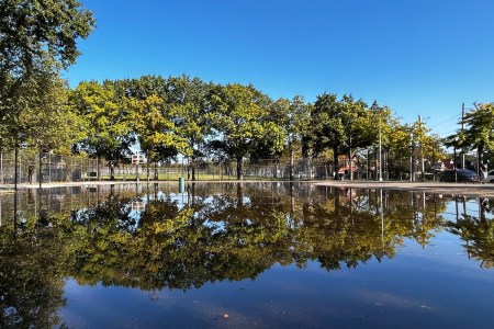 Kissena Park