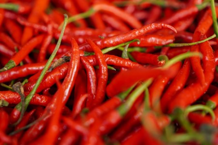 chili peppers