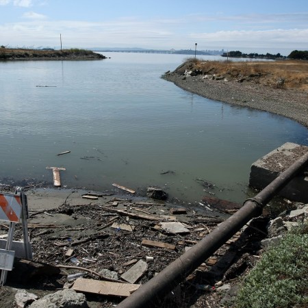 Strawberry Creek, California